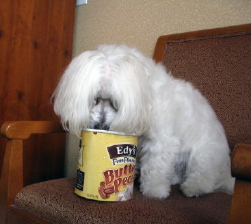 yum-yum