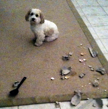 a mess