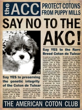 Coton de Tulear say no to AKC