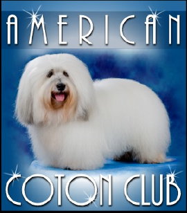 American Coton Club LOGO