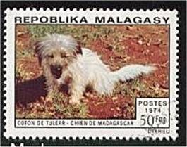rare Coton de Tuléar stamp 1974